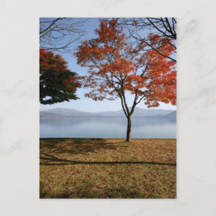 Carte Postale Tranquillité