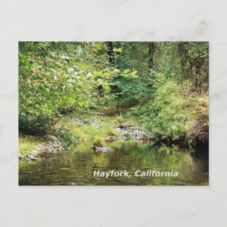 Carte Postale Tranquillité dans les bois.......