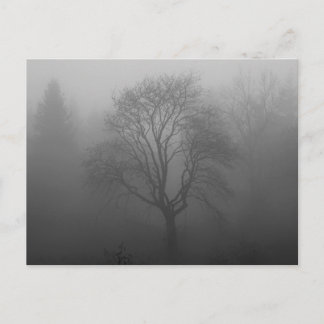 Carte Postale Trauerkarte