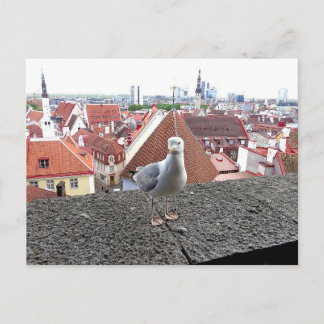 Carte Postale Travel photo. Estonia, Tallinn