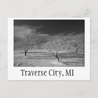 Carte Postale Traverse City Cherry Orchard