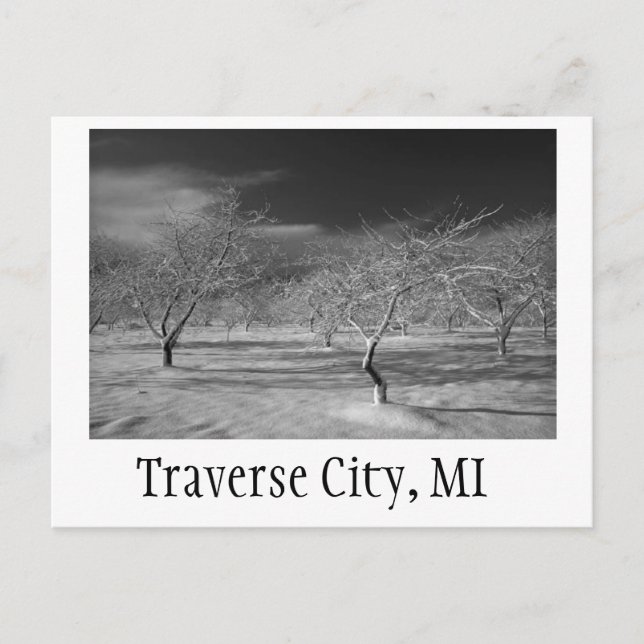Carte Postale Traverse City Cherry Orchard (Devant)