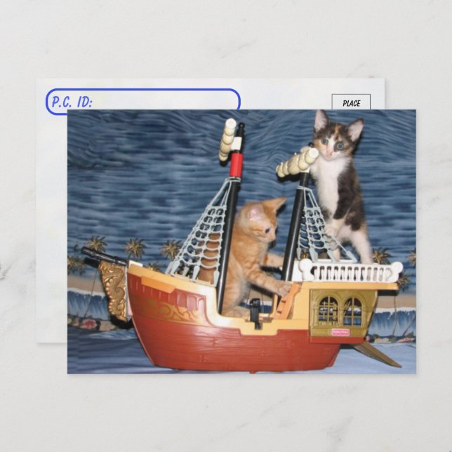 Carte Postale Traversée - Chatons de pirates - Chat / Chatte (Devant / Derrière)