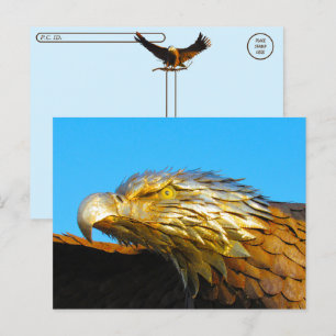Carte Postale Traversée - Statue de l'aigle à tête blanche