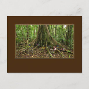 Carte postale TreeHouse Montage