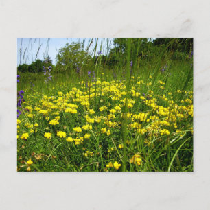 Carte postale Trefoil pieds-oiseaux