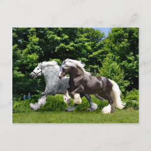 Carte postale "Tremayne & Caspian"