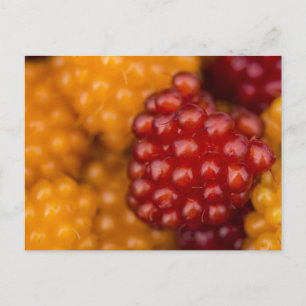 Carte Postale Très Berry
