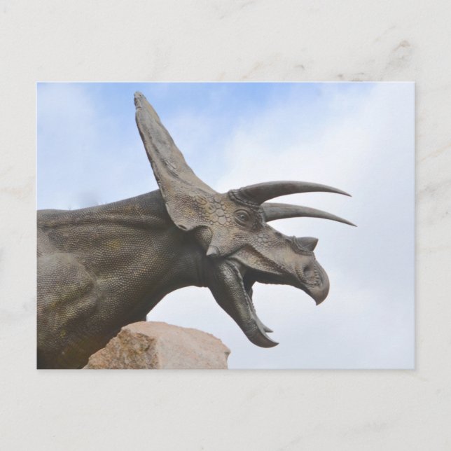 Carte Postale Tricératops Dinosaur (Devant)