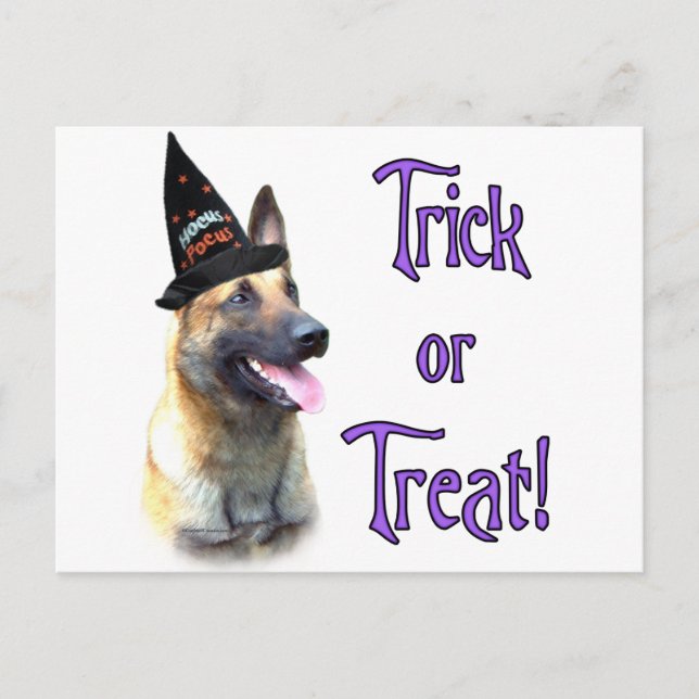 Carte Postale Trick Malinois (Devant)