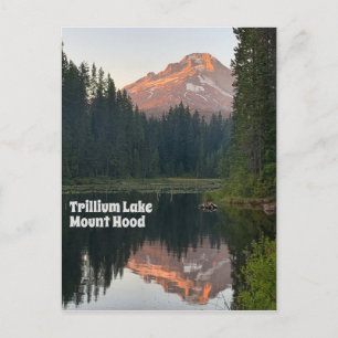 Carte Postale Trillium Lake Mont Hood Coucher de soleil Réflexio