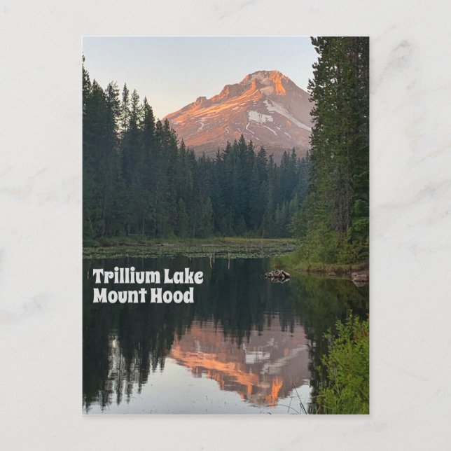 Carte Postale Trillium Lake Mont Hood Coucher de soleil Réflexio (Devant)