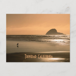 Carte Postale Trinidad Californie
