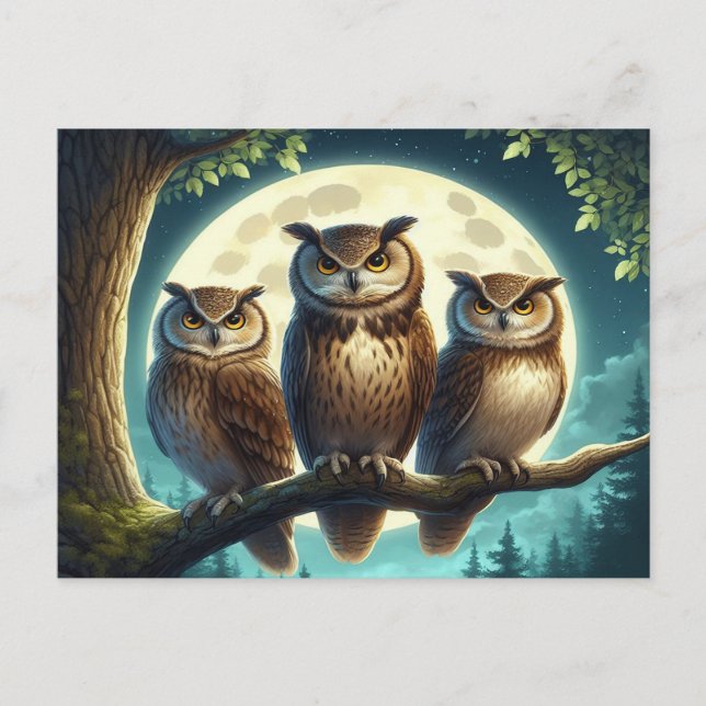 Carte Postale Trio de hibou lunaire (Devant)