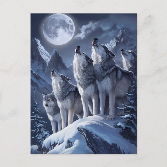 Carte Postale Trio de loups au sommet de minuit (Devant)
