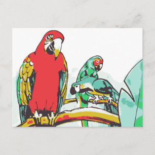 Carte Postale Trio de perroquets