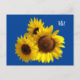 Carte Postale Trio de tournesols découpés Photo sur fond bleu