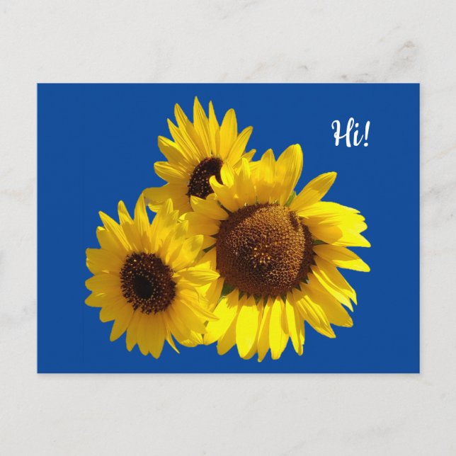 Carte Postale Trio de tournesols découpés Photo sur fond bleu (Devant)
