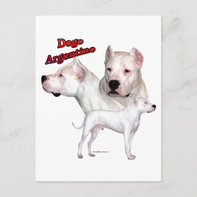 Carte Postale Trio Dogo Argentino 2 (Devant)