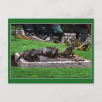 Trio en Iguana Park, Guayaquil, Equateur
