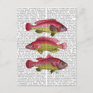 Carte Postale Trio poisson Imaginaire rouge et jaune