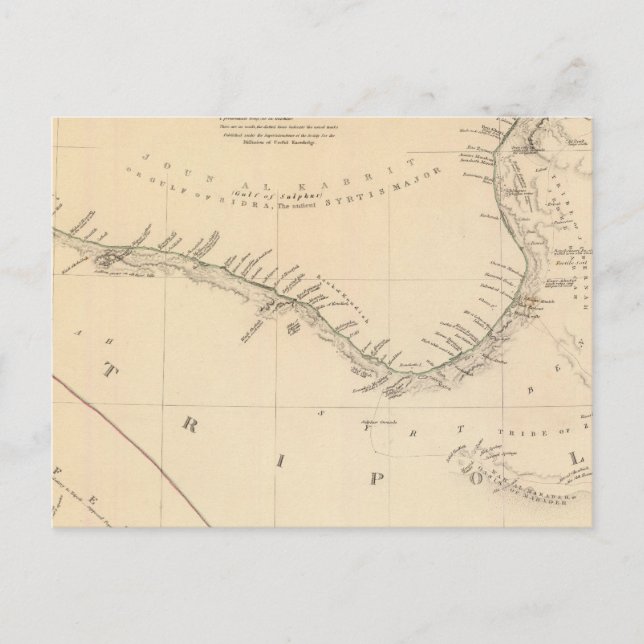 Carte Postale Tripoli (Devant)