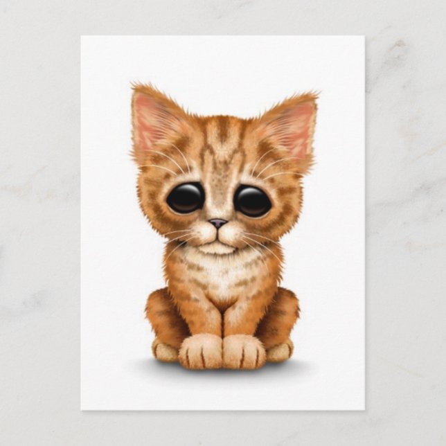 Carte Postale Triste Tabby Kitten Chat orange cuite blanc (Devant)