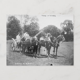 Carte Postale Troïka américaine 1911