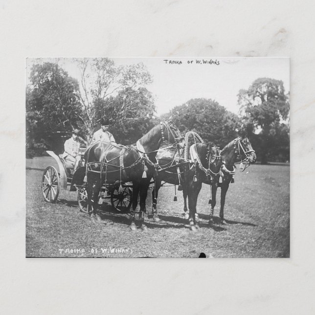 Carte Postale Troïka américaine 1911 (Devant)