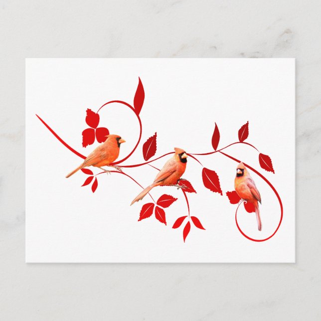 Carte Postale Trois cardinaux (Devant)