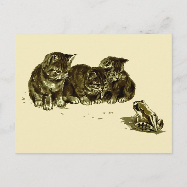 Carte Postale Trois chatons et une grenouille (Devant)