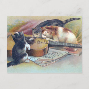 Carte Postale Trois chatons et une guitare Illustration Vintage