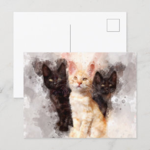Carte Postale Trois chatons mignonnes et belle aquarelle