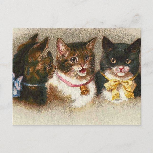 Carte postale "Trois chats Vintages" (Devant)
