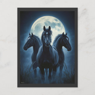 Carte Postale Trois Chevaux Lune