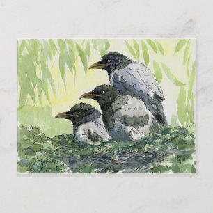 Carte Postale Trois corneille par schukina