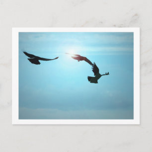 Carte postale Trois Corneilles