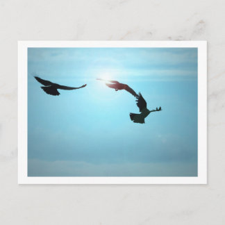 Carte postale Trois Corneilles