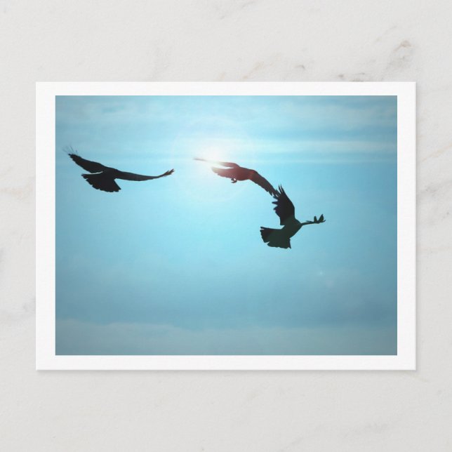 Carte postale Trois Corneilles (Devant)