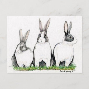Carte Postale "Trois lapins" Animal Art Postacard