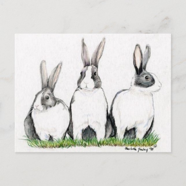 Carte Postale "Trois lapins" Animal Art Postacard (Devant)