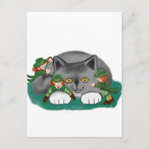 Carte Postale Trois Leprechauns et un Kitten sont amis
