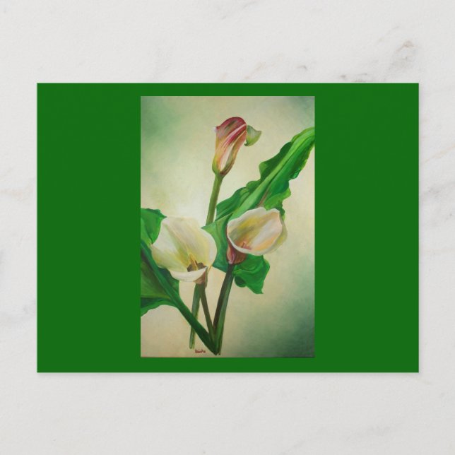 Carte Postale Trois Lys Calla Étonnant Botanique Acrylique (Devant)