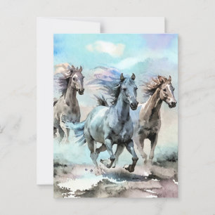 Carte Postale Trois Mustangs sauvages traversent les plaines