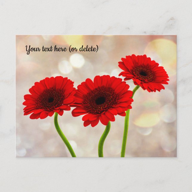 Carte postale Trois petites gerbera rouges (Devant)