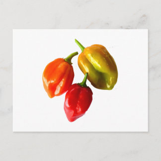 Carte Postale Trois poivrons Scotch Bonnet Rouge Orange Jaune Pi
