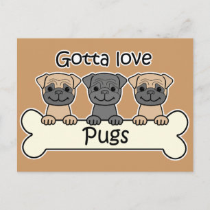 Carte Postale Trois Pugs