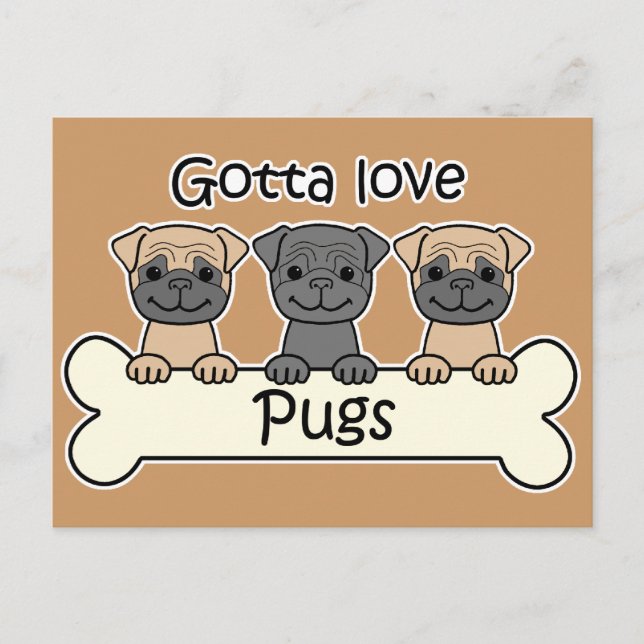Carte Postale Trois Pugs (Devant)
