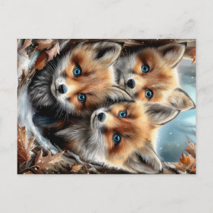Carte Postale Trois renardeaux mignons dans la forêt