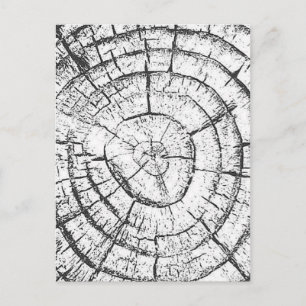 Carte Postale Tronc d'arbre noir et blanc Collection contemporai